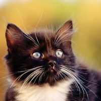 Анастасия Киреева | Ухта