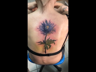 Asgard Tattoo (03.06.2018)