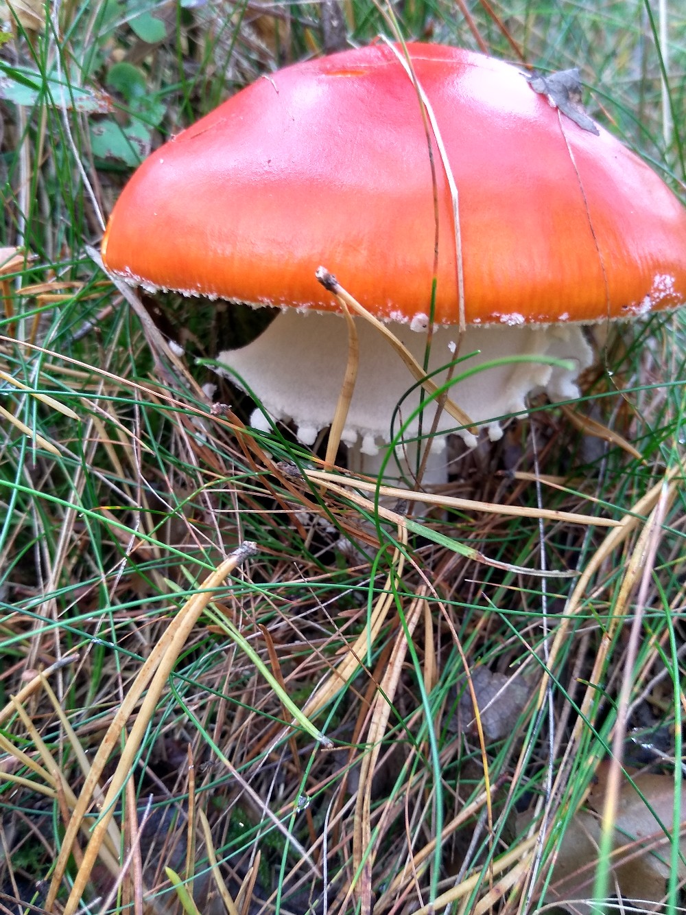 фотография из вКонтакте