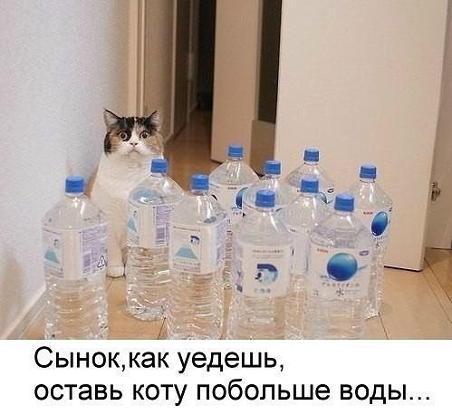 AlWdC-WuLKM.jpg