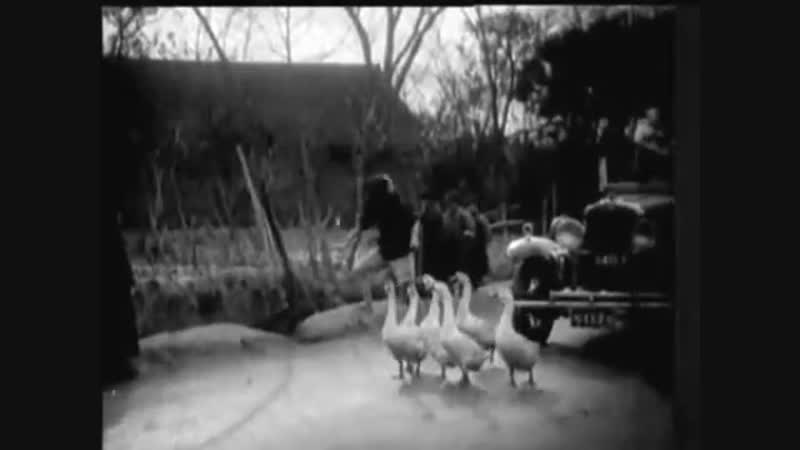 Ye mei gui Дикая роза (1932)