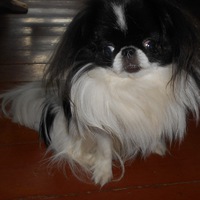 Елена Анисимова | Архангельск