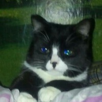 Янина Александровна | Сыктывкар