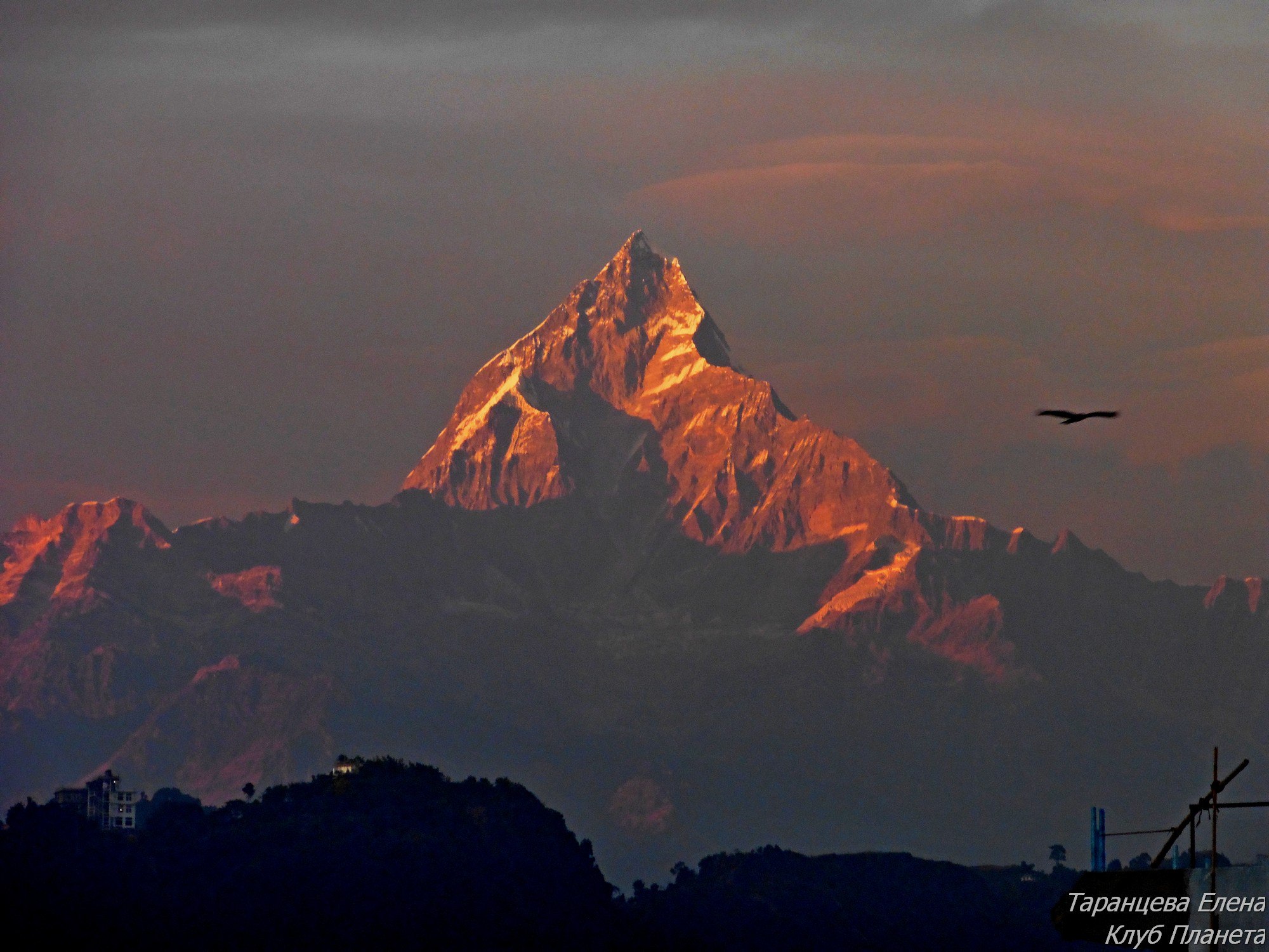 Путевые записки из Непала! Новогодними тропами Аннапурны!