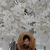 Фото пользователя Валерия