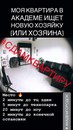 Объявление от Ксения - фото №1