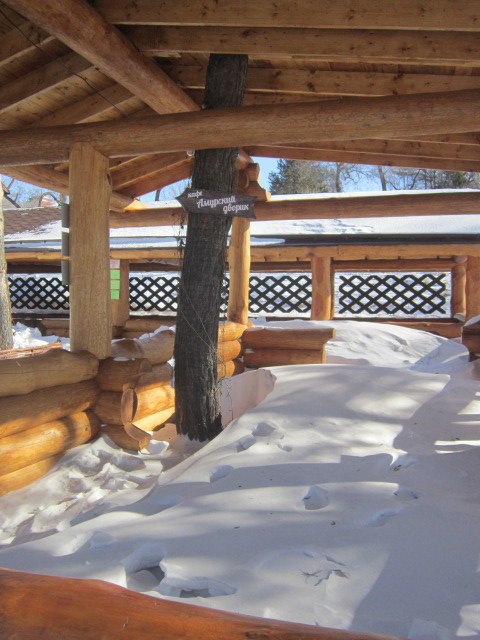 Амурский дворик кафе омск Амурский дворик кафе омск