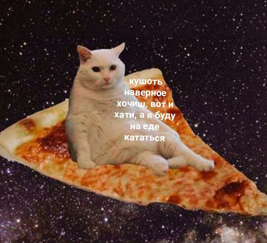 1bMdVN1Ht5c.jpg