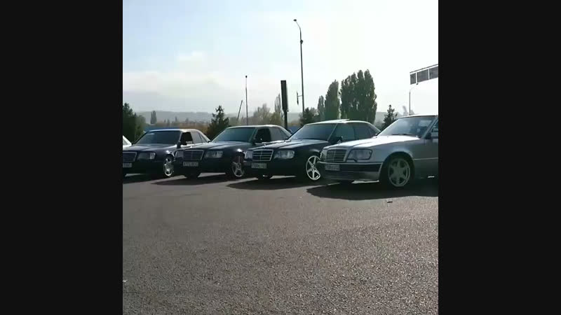 Wolf Club