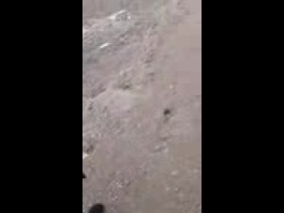 Казахстане растреляли с ак47 дальнобойщиков