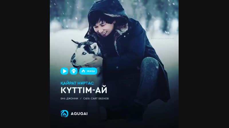 KN_DE