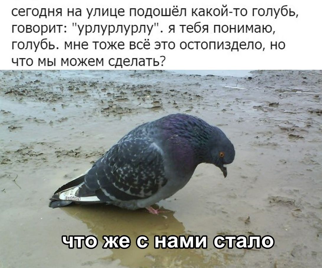 JnHTV3ufuVA.jpg