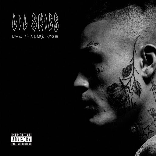 Альбом lil skies Life of a Dark Rose