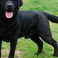 Вячеслав Виноградов | Санкт-Петербург