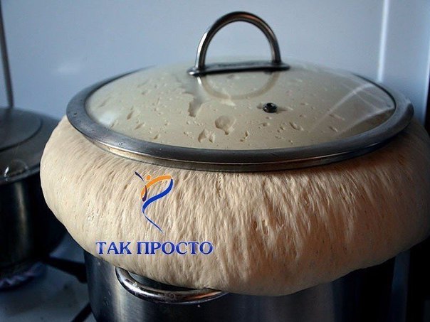 Дрожжевое тесто