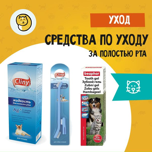 Котофей 24 Интернет Магазин Зоотоваров Красноярск