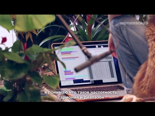 Meet the Sonic Artist Making Music with Plants Sound Builders