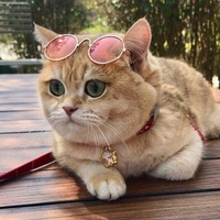 Руслана Лебедева | Иркутск