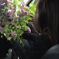 Полина Пипия