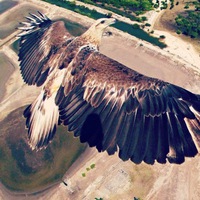 Руслан Арсланов