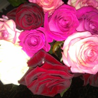 Катя Подолянець