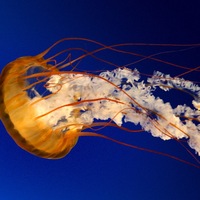 Денис Болдырев | Липецк