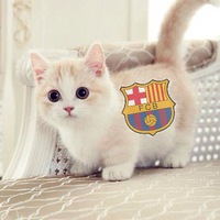 Влад Тимофеев | Barcelona