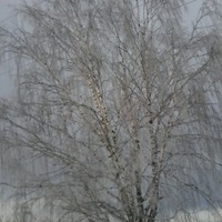 Ирина Ананьина | Екатеринбург