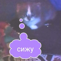 Дарья Ефимова | Большое Ермаково