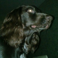 Оля Сорокина