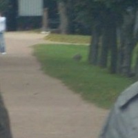 Илья Шишкин