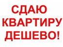 Объявление от Vera - фото №1