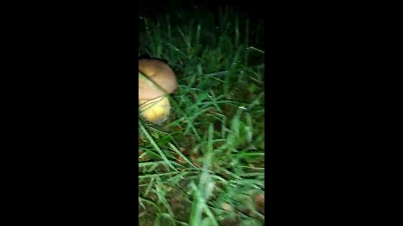 YouCut_20180730_003509562.mp4