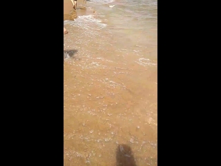 VID_20231103_181820_128.mp4