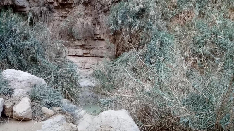 Водопады Эйн-Геди
