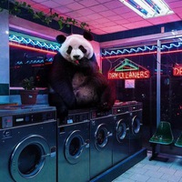 Ольга Боровик