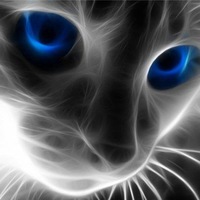 Светлана Стародубцева | Санкт-Петербург