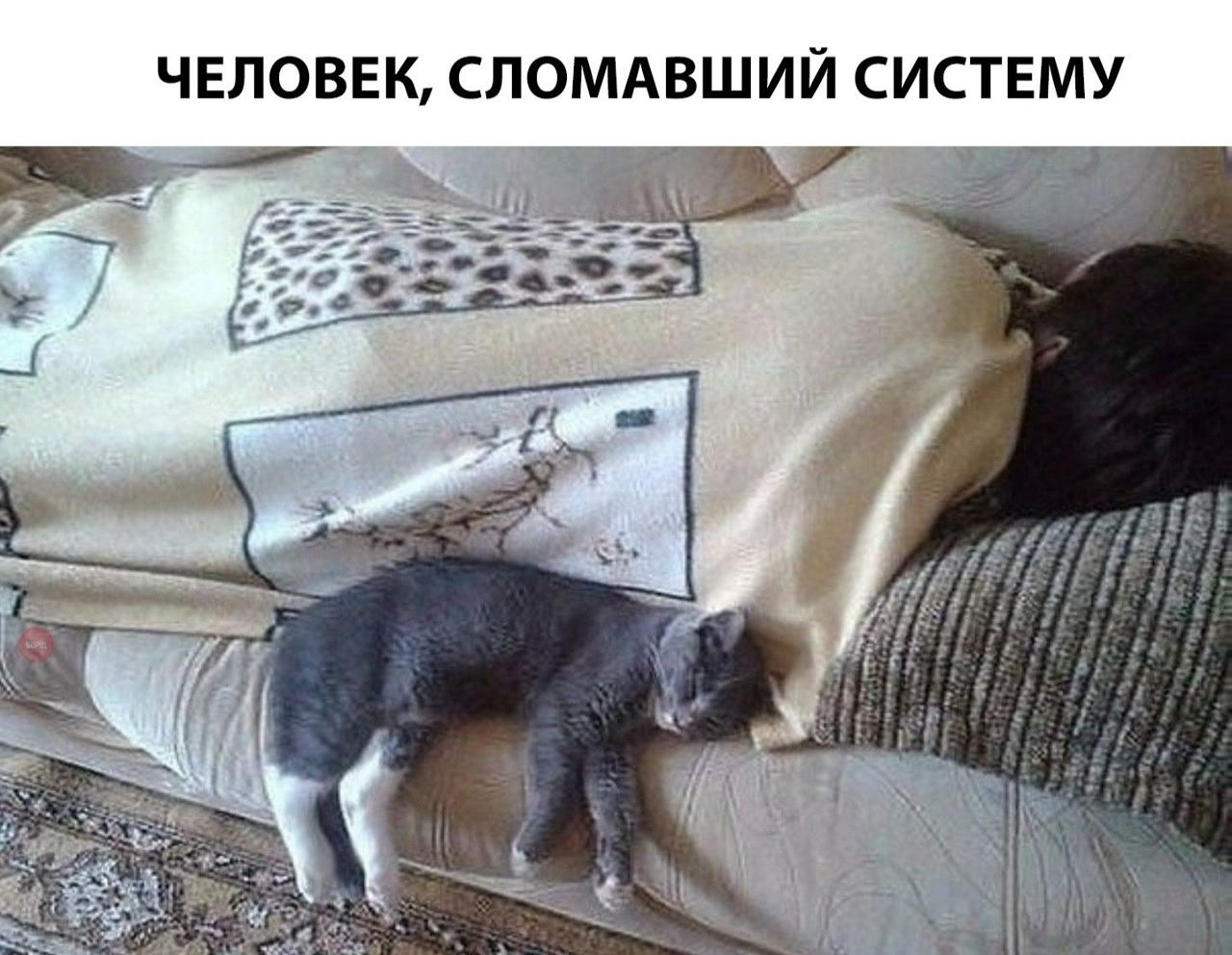 jAo912DupmQ.jpg