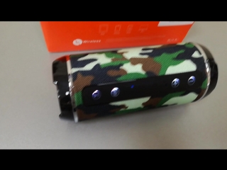 Колонка портативная с BLUETOOTH MP3 TG116