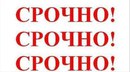 Объявление от Мария - фото №1