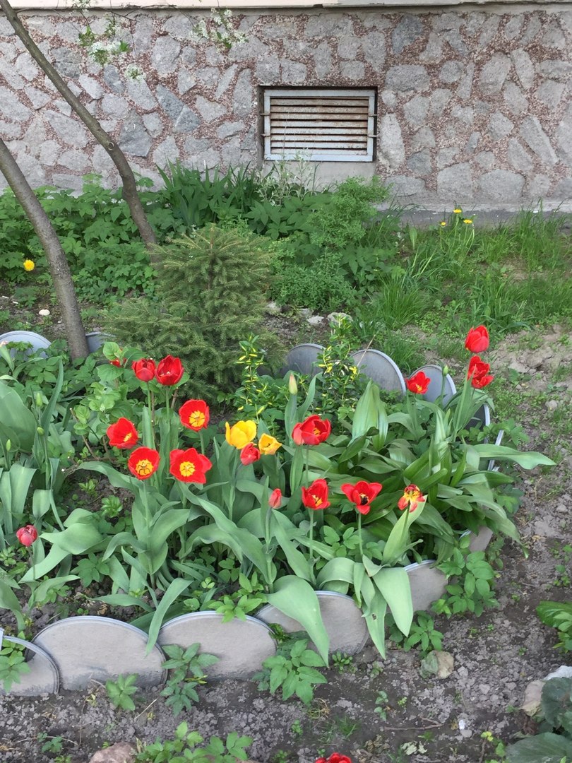 https://pp.userapi.com/c834102/v834102681/14d511/wTQVPYAncWE.jpg