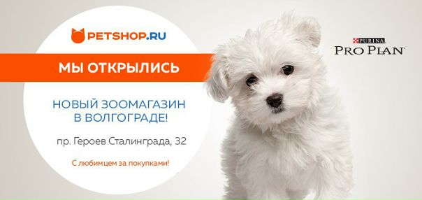 Магазин Petshop Волгоград