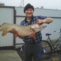 Павел Скоморохов |