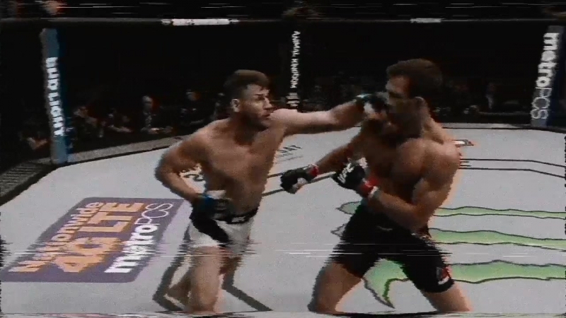 Michael Bisping × NORMANS