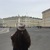 Аватар Вика Блинова