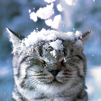 Ольга Попович | Чита