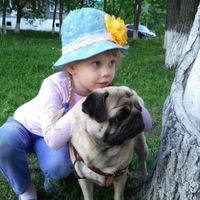 Макс Малахов