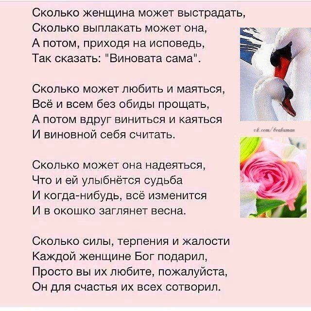 картинка скажи когда хватит. вино сообщает каждому кто пьет его четыре качества. истина в вине в чьей ты с юридического. стадии алкоголизма названия павлин. сообщить виноватый.