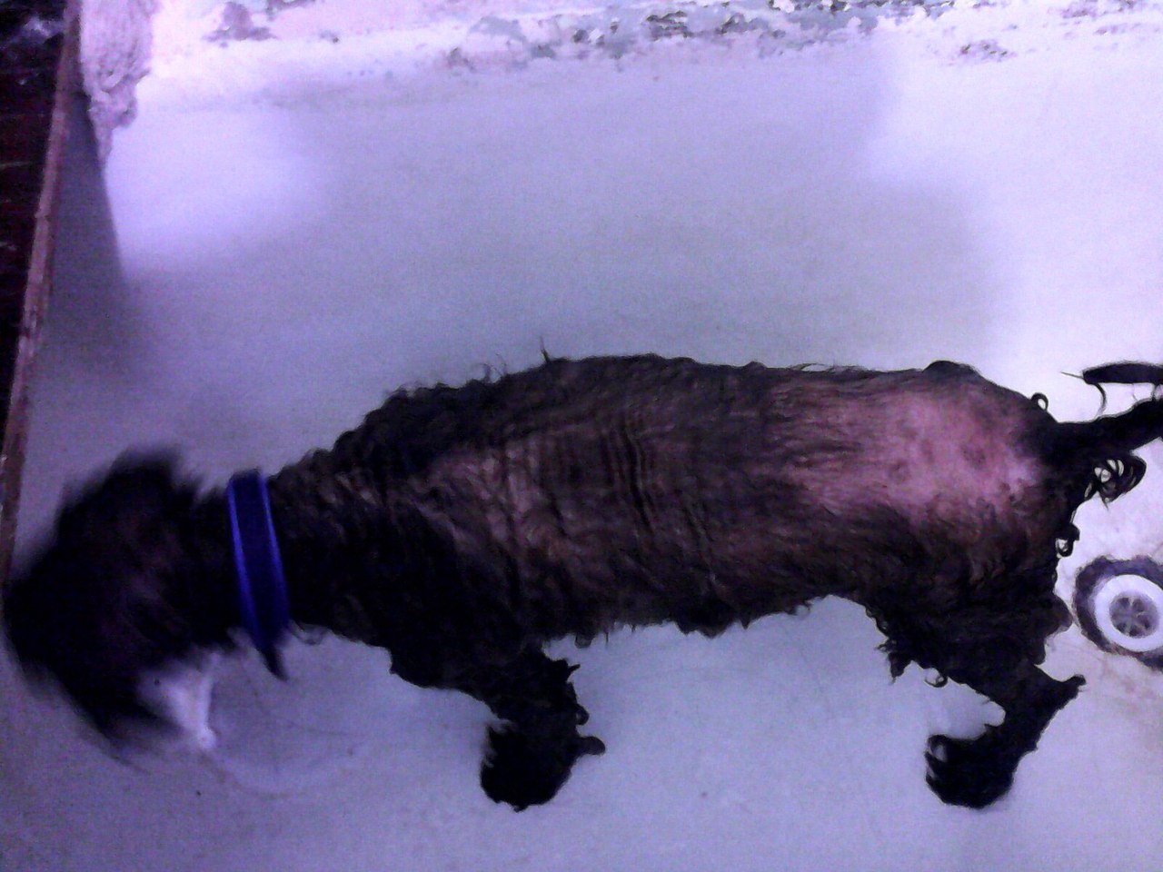 [Изображение: IMJKLFCUMI4.jpg]