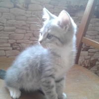 Анна Соловей | Минеральные Воды